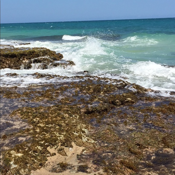 Meet your Posher, Isabel - Picture 2 of 2